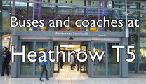 Buses and Coaches at Heathrow Airport Terminal 5 - November 2016