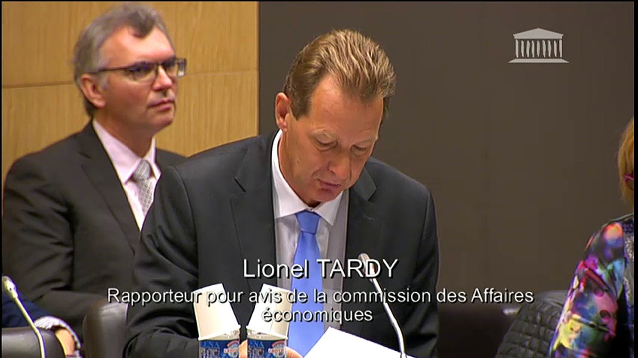 présentation rapport Entreprises PLF 2017