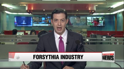 Researchers develop cosmetics from extract of rare plant native to Korea