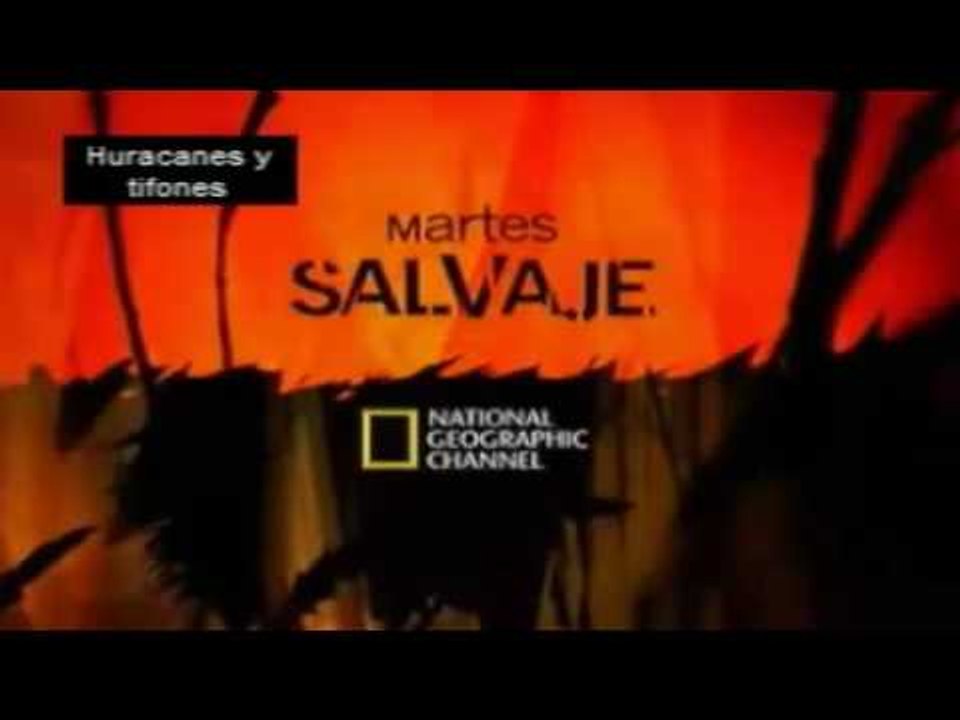 Documental Huracanes Y Tifones Documentales National Geographic 2015 HD