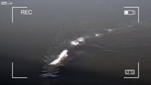 Le monstre du Loch Ness filmé en Alaska ?
