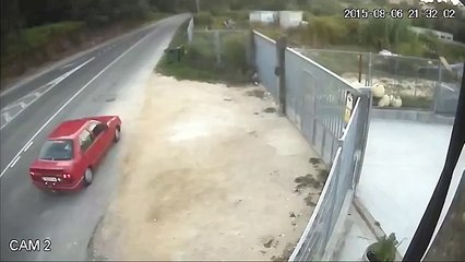 IL VIGLIACCO ABBANDONO DI UN POVERO CANE!!!