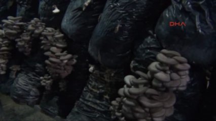 Simav Işçiyken Patron Oldular