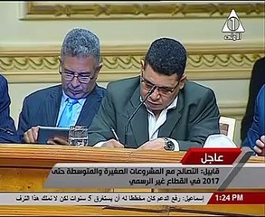 وزير الصناعة: قرارات المجلس الأعلى للاستثمار " ثورية"
