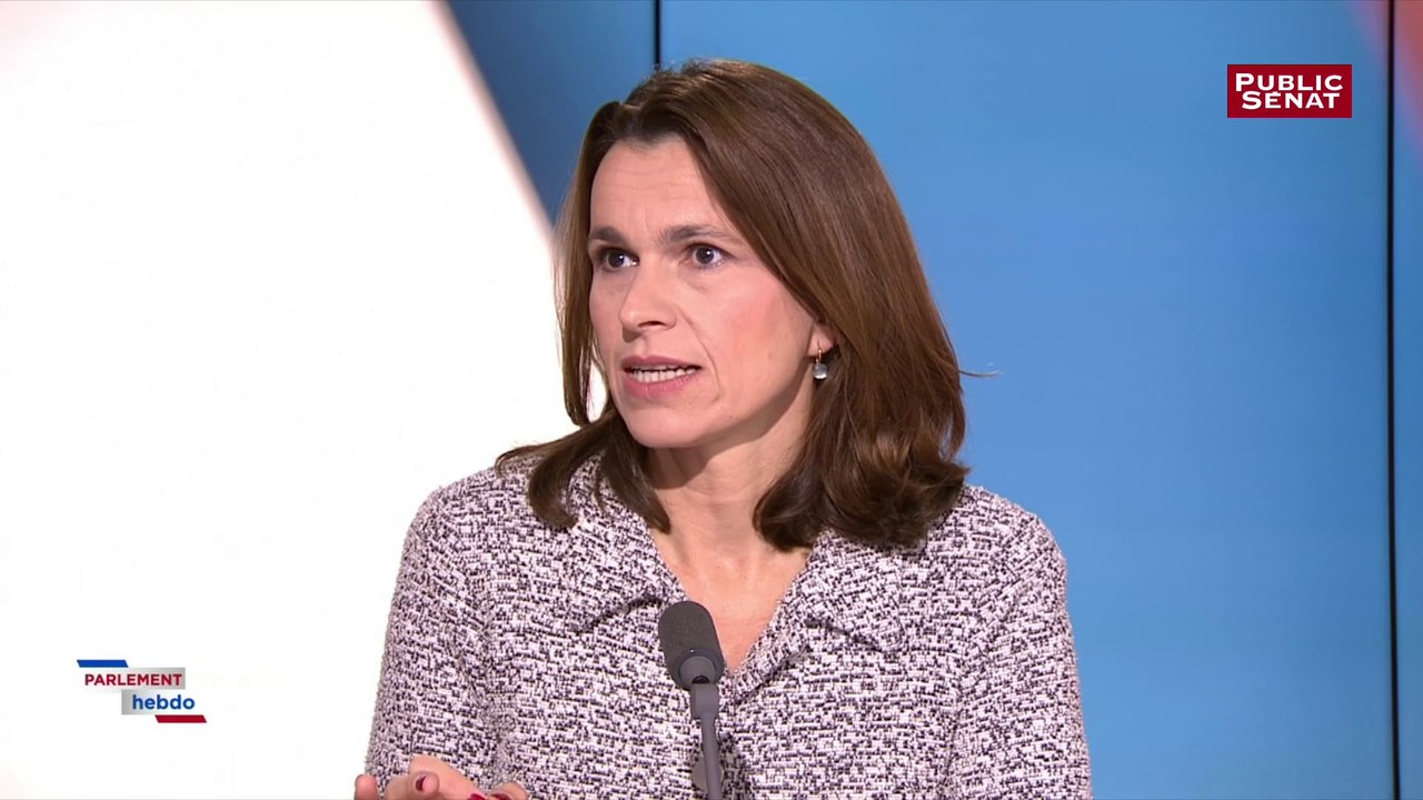 Filippetti : "Le gouvernement ne dit pas la vérité sur le fichier TES"