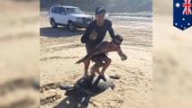 Turtle-surfing anger as Aussie mates on Fraser Island pose with dead sea turtle for pic - TomoNews