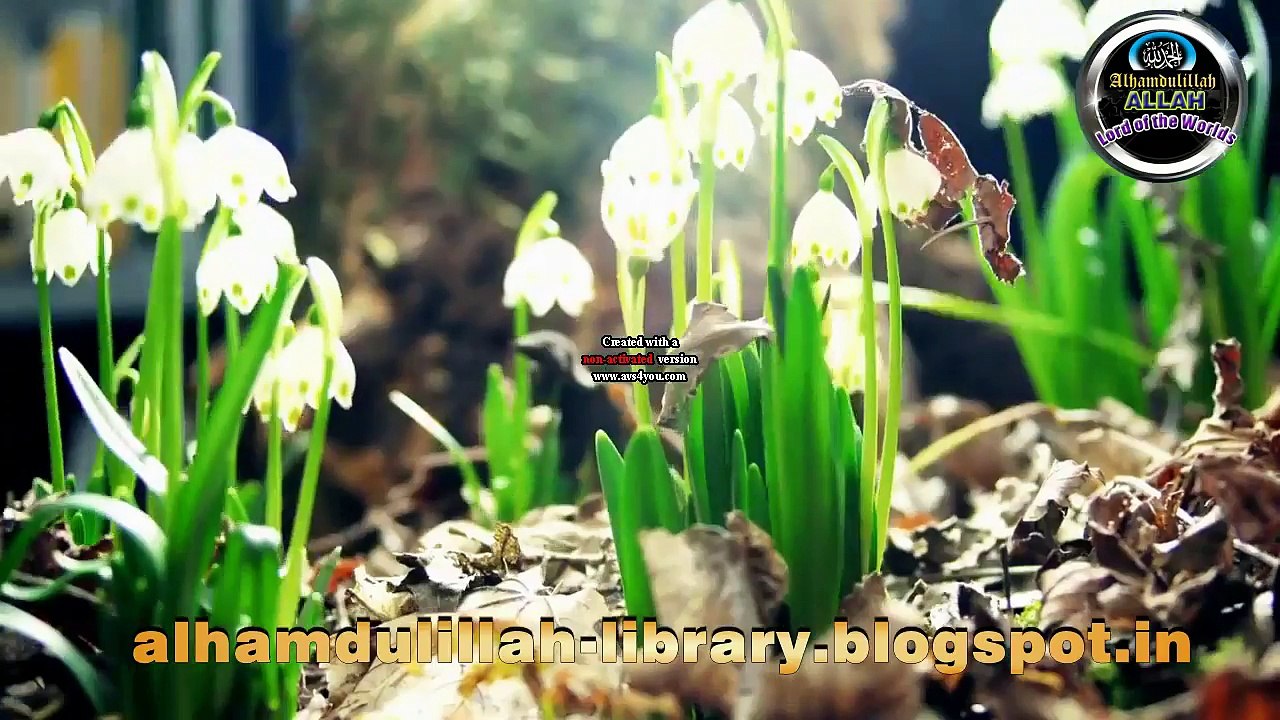 Tum apne RAB ki kaun kaun si Niyamato ko jhoot laongay - Surah Ar Rahman 55 Verse 13 URDU   HIND HD  (720p)
