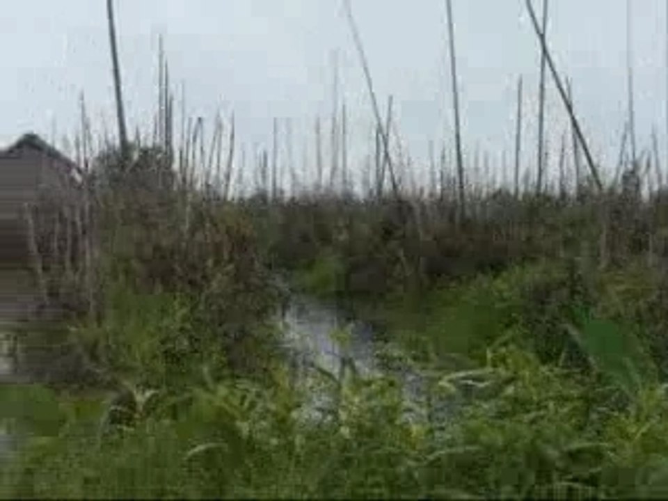 Floatinggarden