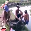 Whatsapp Funny videos 2016 Stupid people doing stupid things Best of fails Compilation 2016