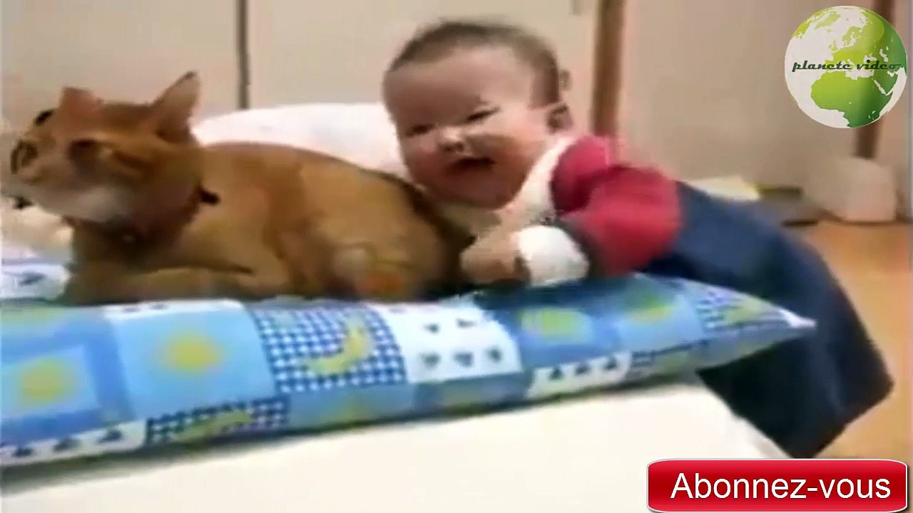 complicité entre bébé et animaux
