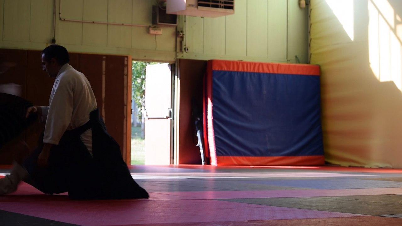 AIKIDO - Stage Inter-Clubs - AIKIDO-BUDO 7
