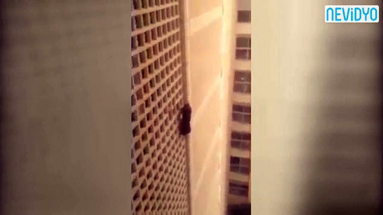 7 kat tırmandı, gören şaştı kaldı!