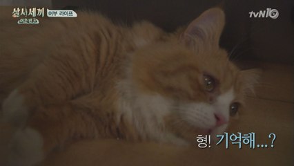 이 브로맨스 어쩌죠? 몽이-♥->쿵이-♥->서지니형