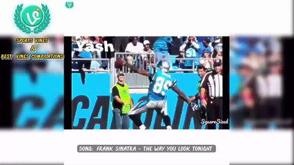 Best Steve Smith Sr Highlights 2016 Football Vines & Instagram Videos Compilation