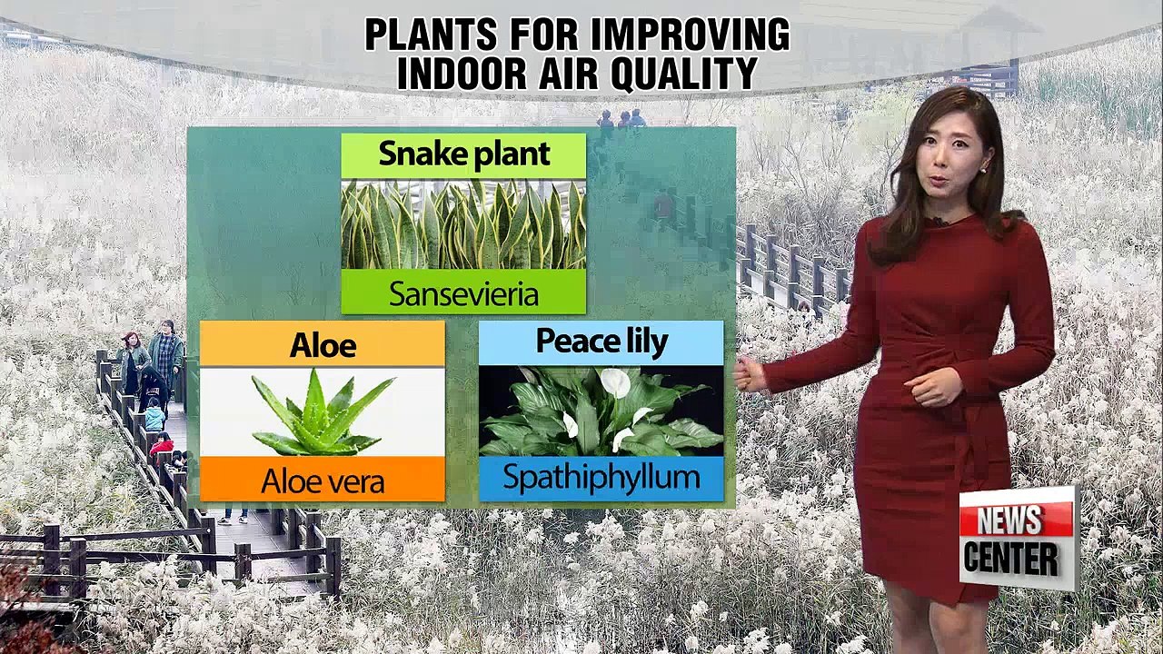 High levels of fine dust while temps to remain mild