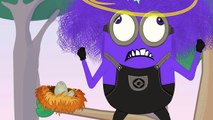 Minions Banana Wooden Glass Box Funny Cartoon ~ Minions Mini Movies 2017 [4k]
