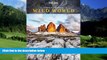 Big Deals  Lonely Planet s Wild World  Best Seller Books Best Seller