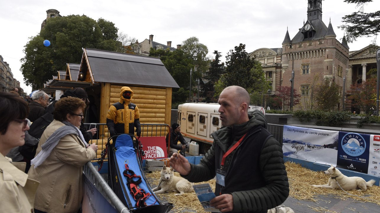 Les chiens de traîneaux ariégeois en opération séduction à Toulouse