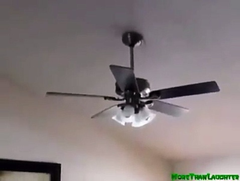 termine mi curso de electricidad