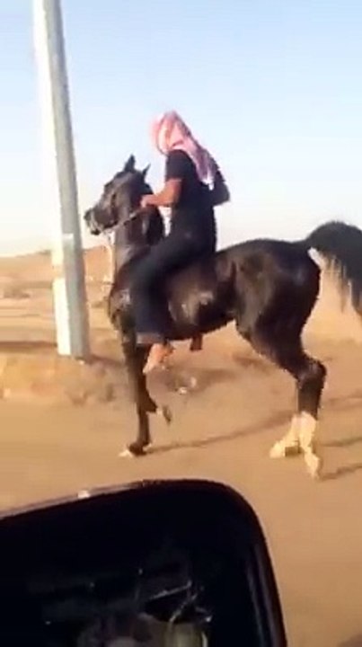 asi bailan los caballos