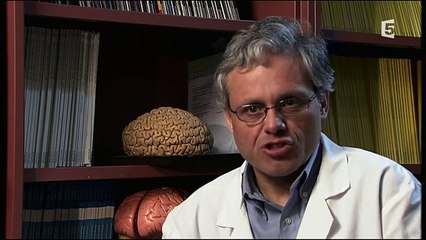 Le chant des baleines enquête