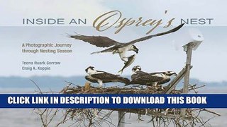 [PDF] Inside an Osprey s Nest: A Photographic Journey through Nesting Season Full Online