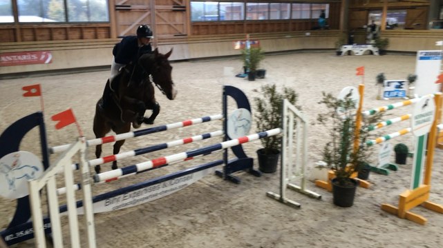 Concours d'obstacles à Deauville