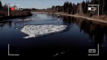 Gigantesco Monstruo Del Lago Ness Es Capturado En Cámara En Alaska