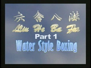Master Helen Liang Demonstrates Liuhebafa Water Style Form – Buy the DVD Online