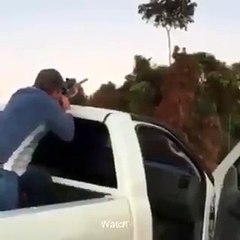 Tree Cut Into Two parts With A Single Bullet