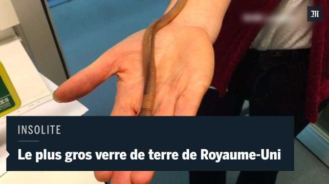 Le plus gros verre de terre du Royaume-Uni fait 40 centimètres de long