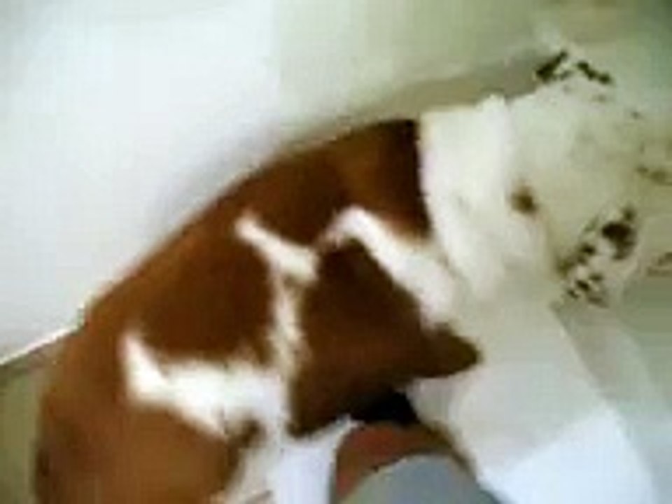 Pancho Alberto s Bath