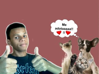 > MEUS AMIGOS PELUDOS