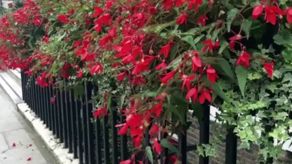 Gynecomastia Surgery UK