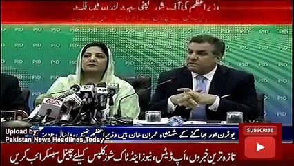 Geo News Headlines Today 4 November 2016, PML N Leader Anusha Rahman   Danyal Aziz Media Talk