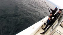 Peche du thon sur chasses dans le golfe de Gascogne 1/3 HD