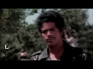 Los Lobos misheard LA BAMBA