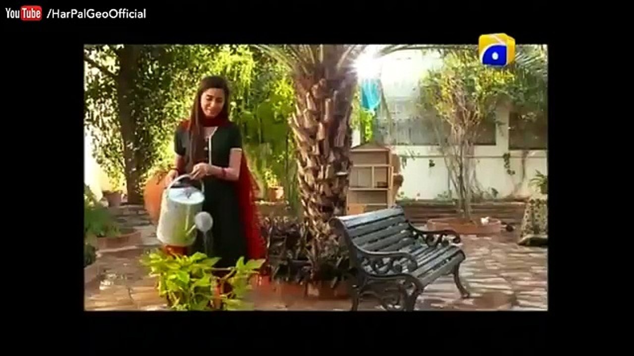 Noor e Zindagi - Episode 17 - Har Pal Geo