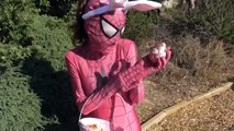 Pink Spidergirl Vs Ironman