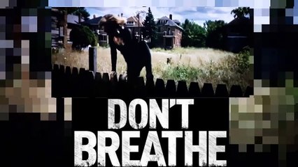 Don't Breathe Movie Clip - Dog Scene