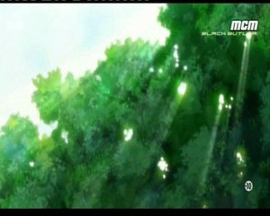 Hollows et Shinigamis