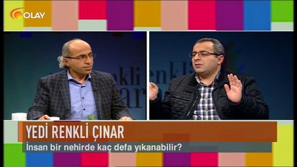 Yedi Renkli Çınar 04 11 2016