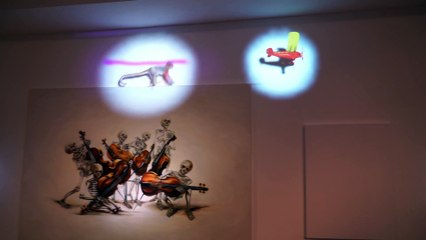 Gallery Invasion Mapping vidéo