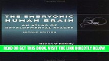 [FREE] EBOOK The Embryonic Human Brain: An Atlas of Developmental Stages ONLINE COLLECTION
