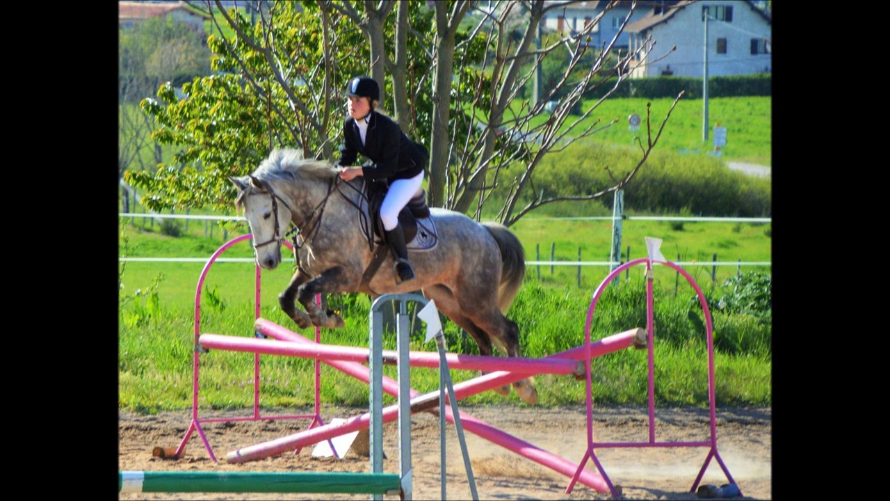 Vidéos et photos poneys