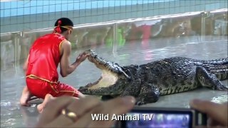 Crocodile Attack On Humans, Wild Animals Attack