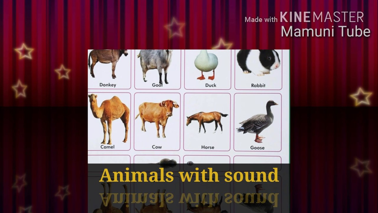 Animal sound for children (20 amazing animal sounds for kids)