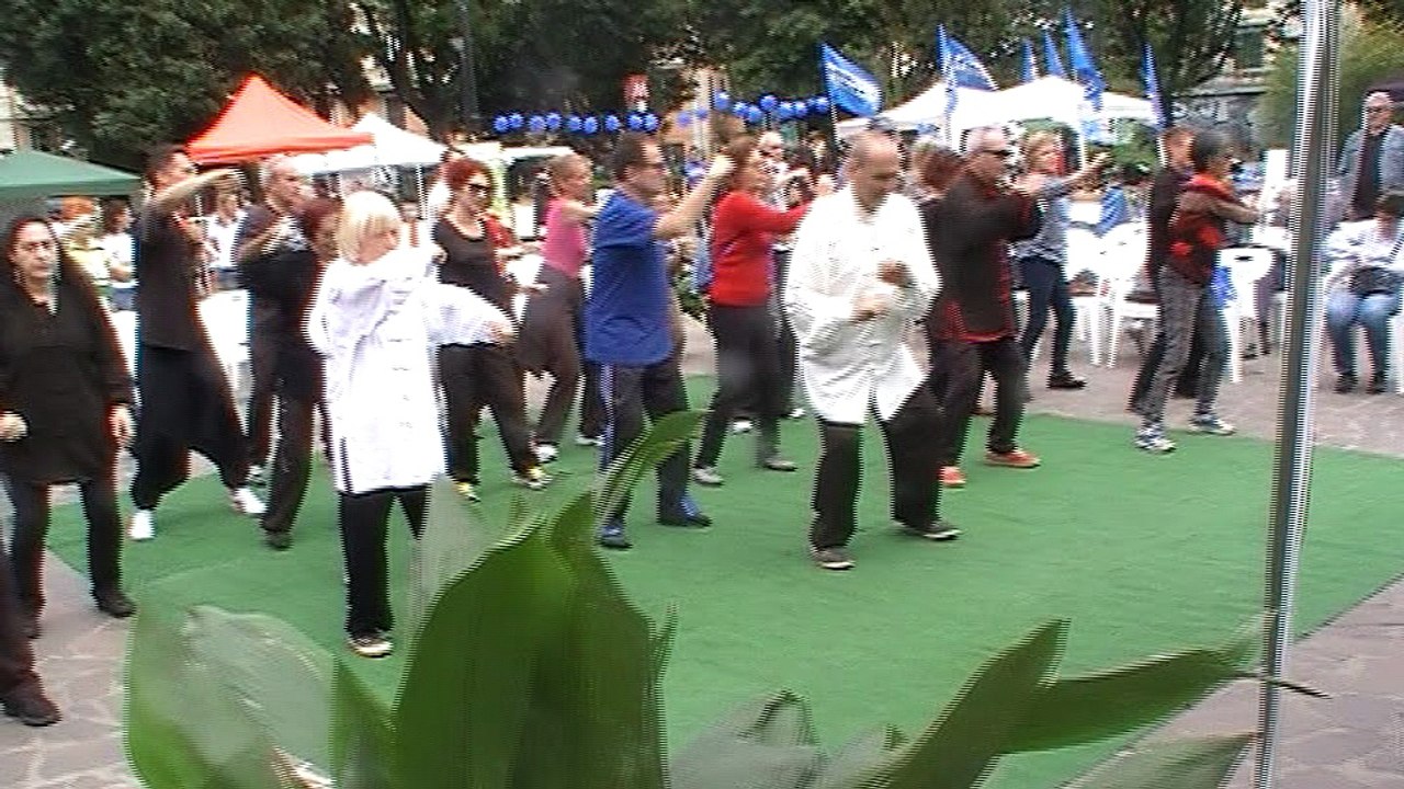 TAI CHI a Piazza Re di Roma a Roma.