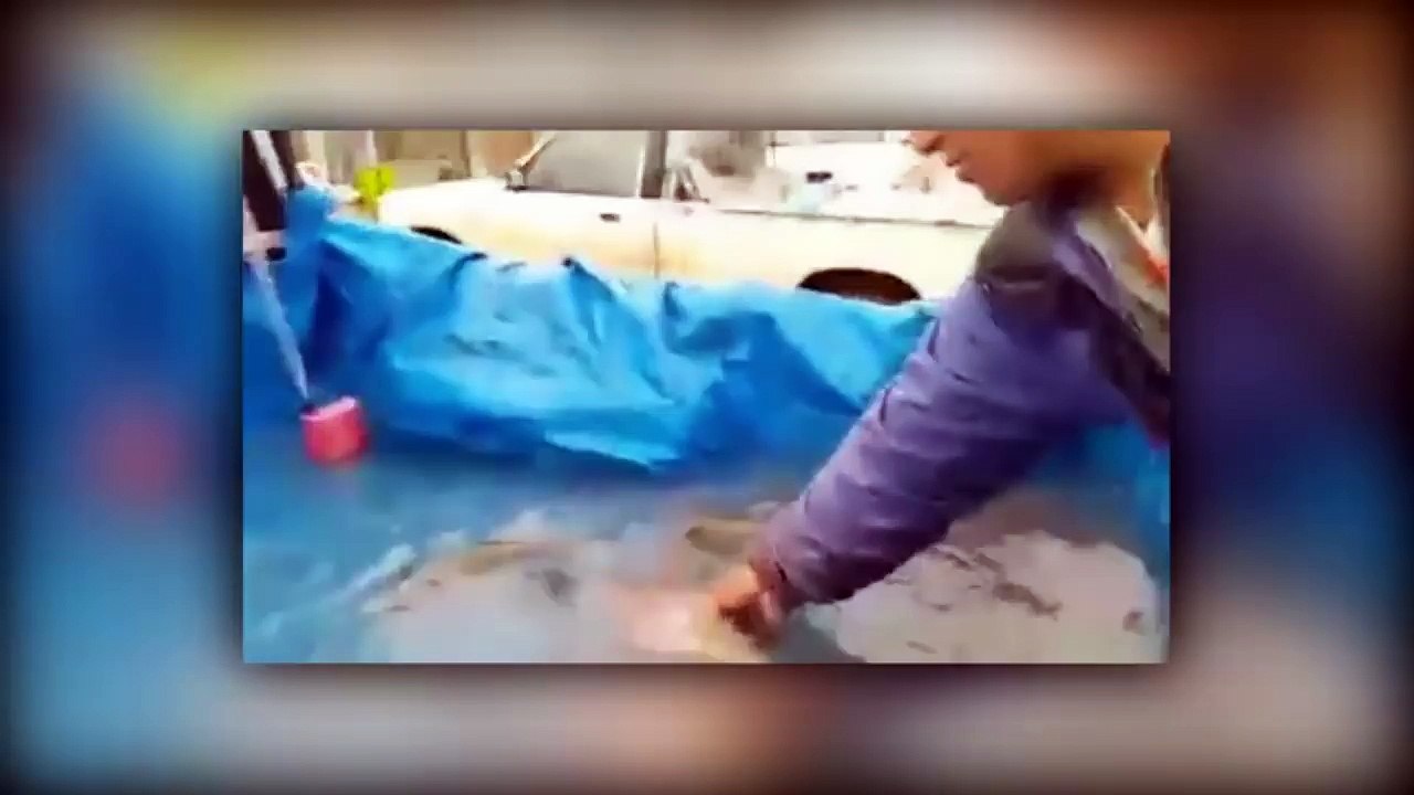 Aneh tapi nyata Berdarah-darah hingga Organ nya terpisah tetap tak Mati Penemuan ikan aneh