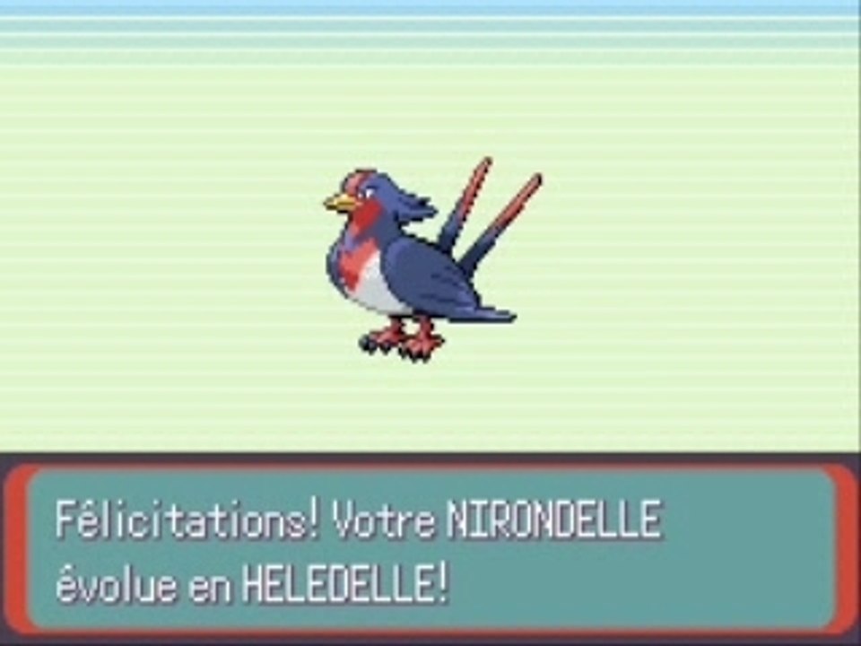 Evolution de mon nirondelle